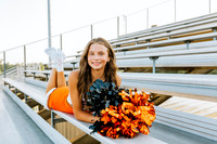 Cheer3