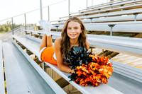 Cheer5
