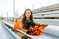 Cheer4