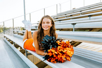 Cheer2