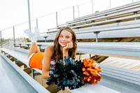 Cheer8