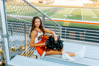 Cheer17