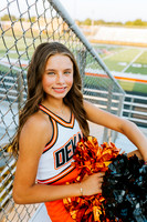 Cheer21