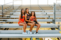Cheer_17