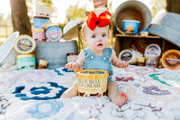 BlueBellMini_1