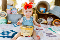 BlueBellMini_3