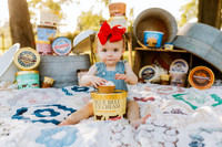 BlueBellMini_12