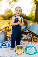 BlueBellMini_6
