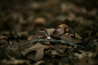 Engagement-20